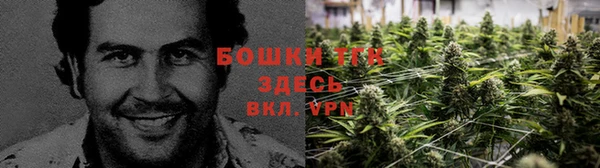 спайс Каменногорск