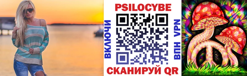 Псилоцибиновые грибы Psilocybe  купить наркоту  Лахденпохья 